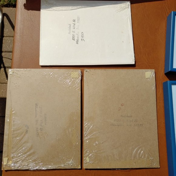 BRAND NEW SET OF 3 NEDOBECK PRINTS WITH CAT, LION, AND RABBIT AND CUSTOM MATS - Picture 9 of 14